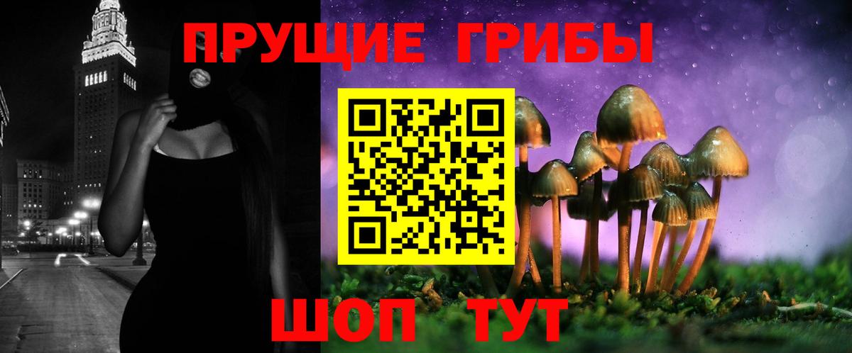 Галлюциногенные грибы Cubensis  Вход с VPN  Киреевск 