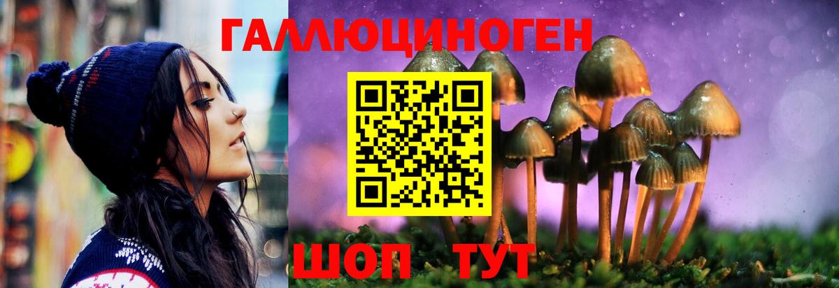 Псилоцибиновые грибы Cubensis Киреевск